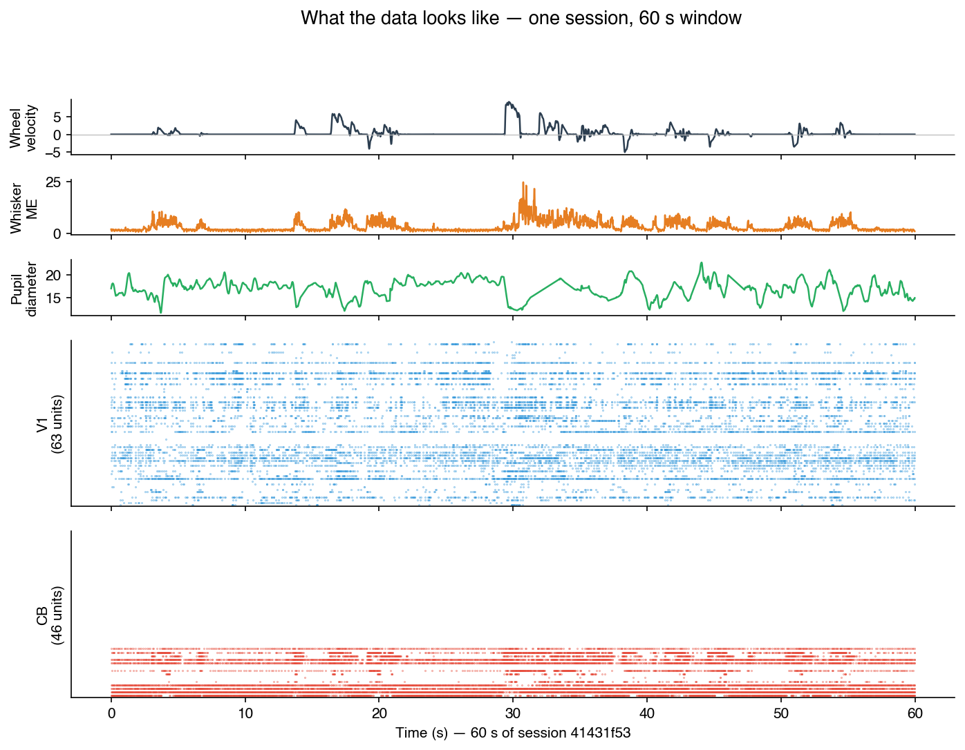 60-second window of session 41431f53: wheel velocity, whisker motion energy, pupil diameter, V1 raster (63 units), CB raster (46 units).