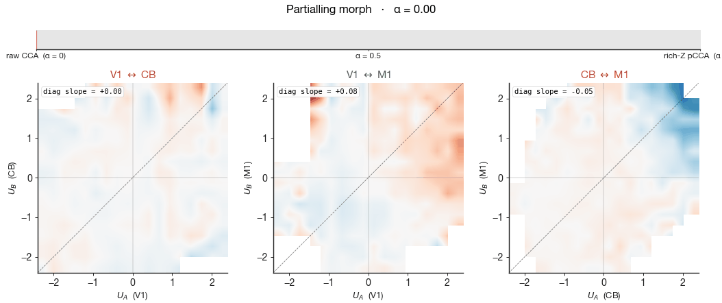 Partialling morph: three side-by-side pair panels animating from raw CCA to rich-Z partialled, wheel-velocity gradient fading while cloud shape persists