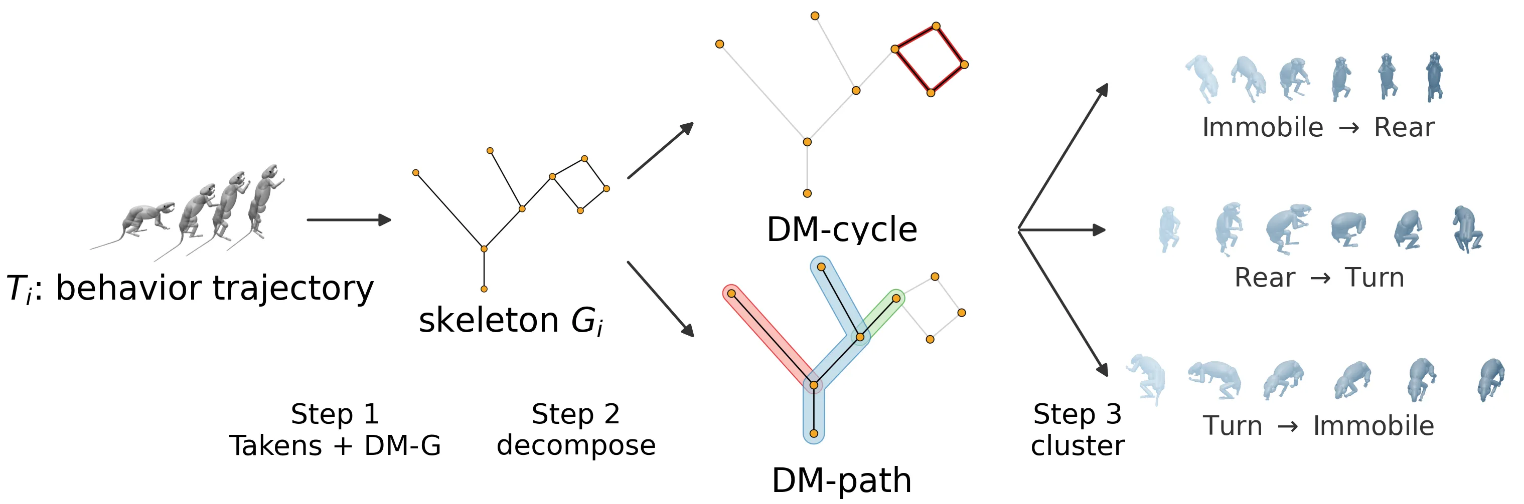Method overview: trajectory, skeleton, DM-cycle and DM-path, transition clusters