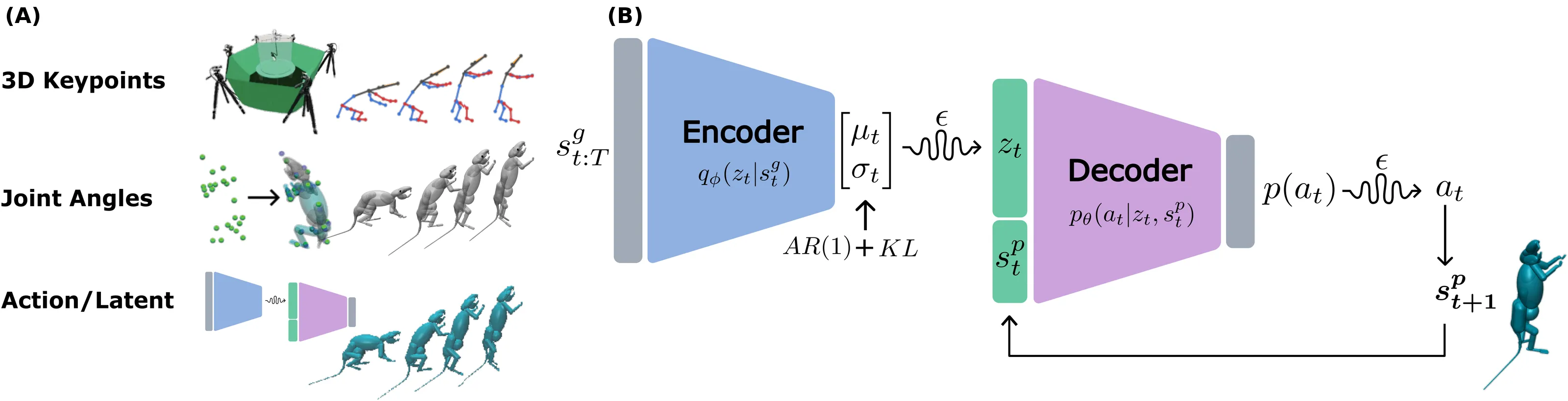 MIMIC-MJX pipeline: motion capture, inverse kinematics, imitation policy with encoder and decoder