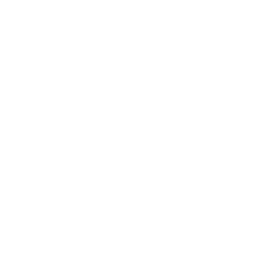 The Enigma Project