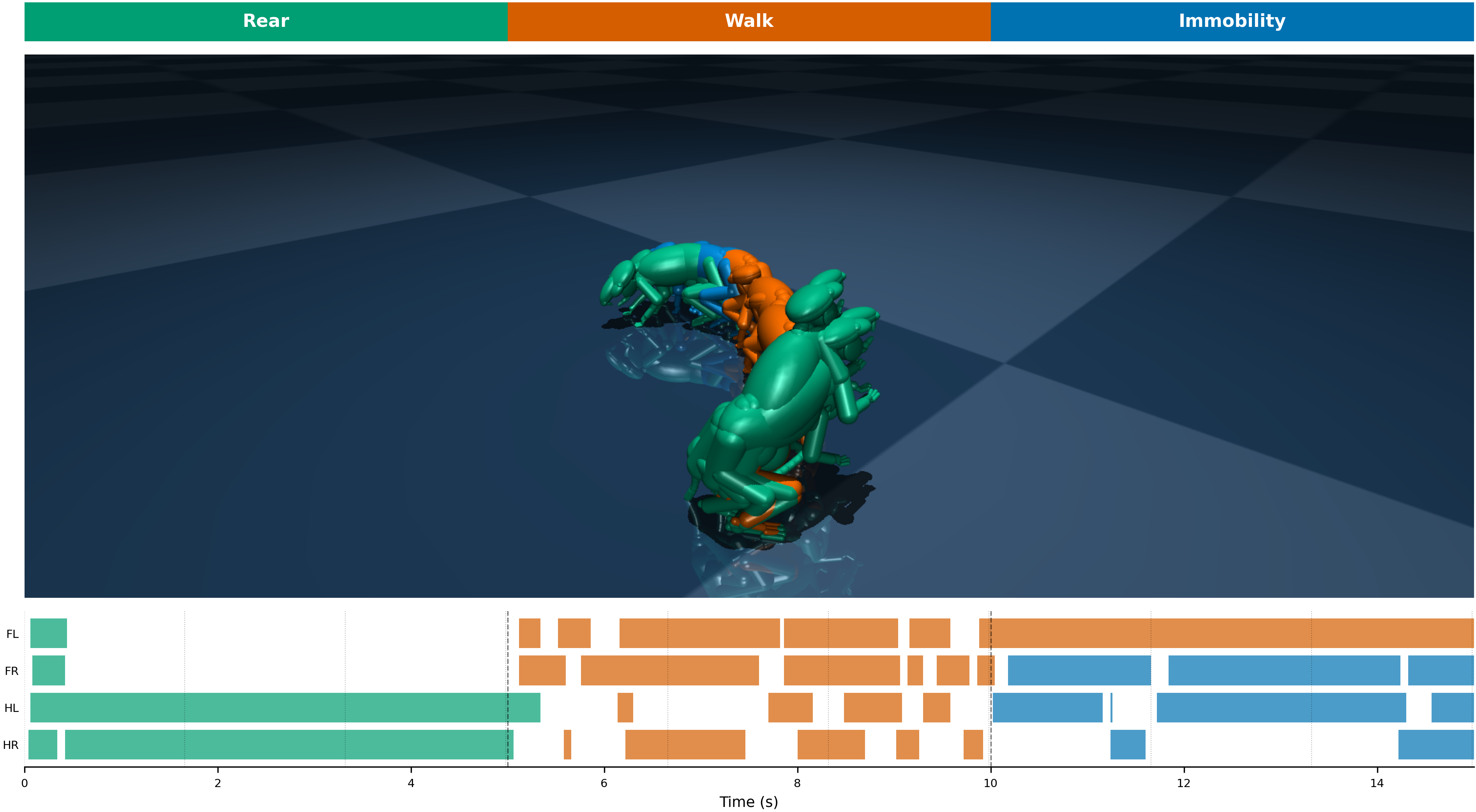 Motor control hierarchy from prefrontal cortex to muscles