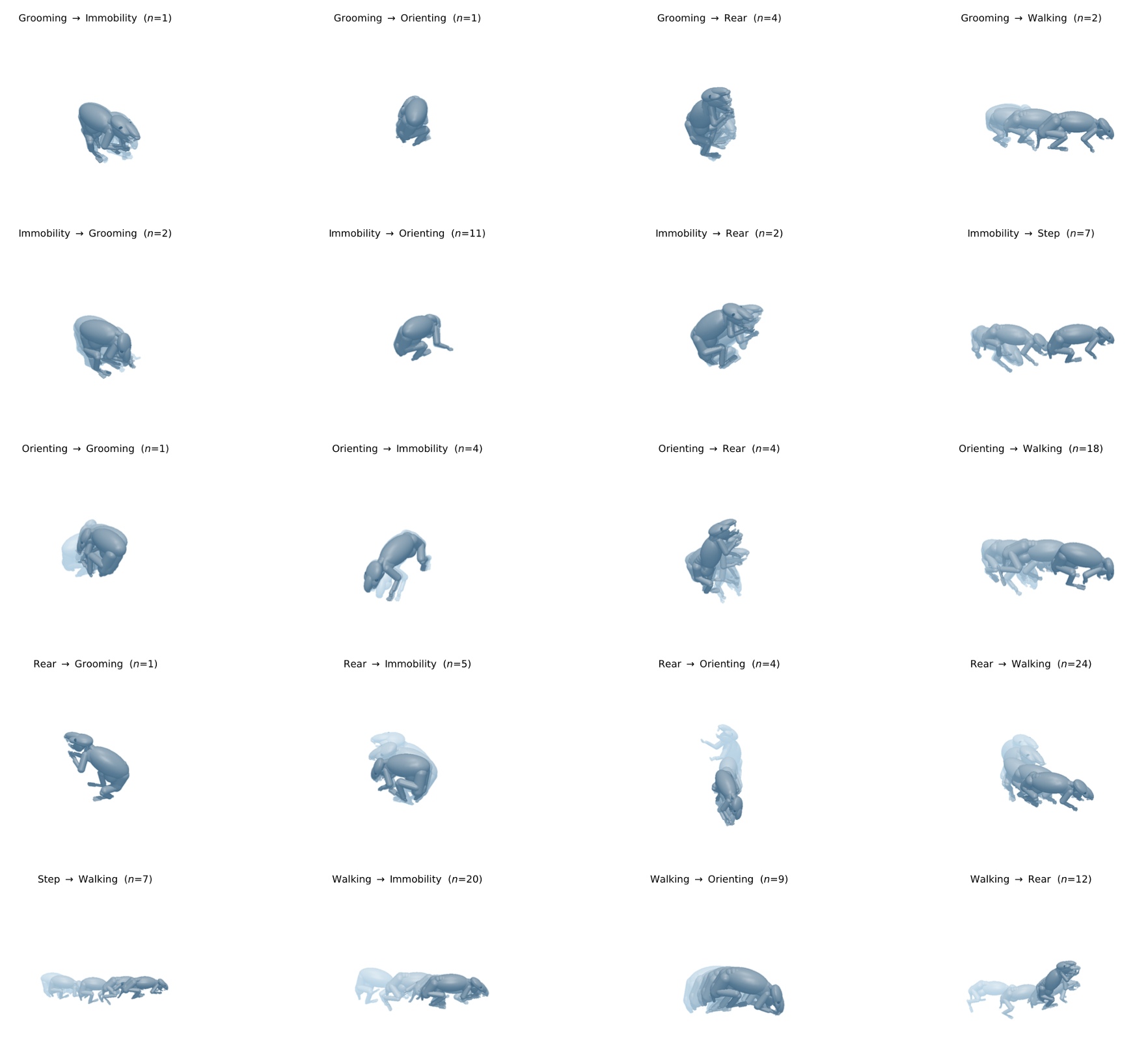 TopoMIMIC clustering results