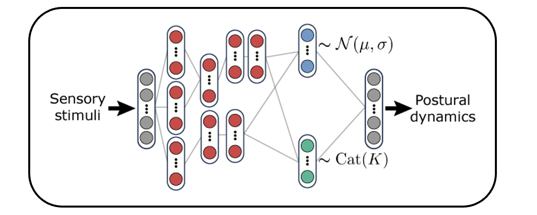 Imitation pipeline