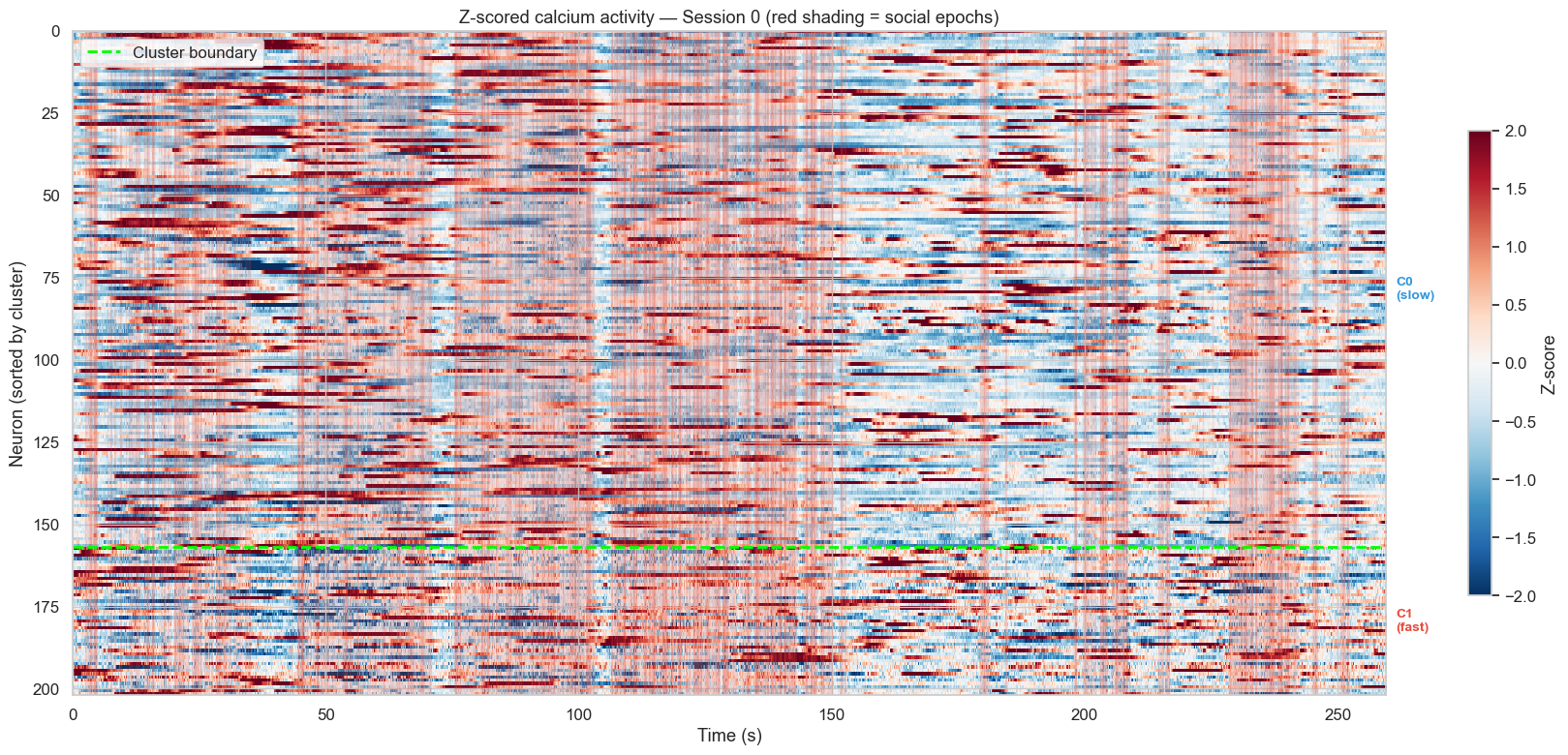 Activity rasters for each cluster with social epoch overlay