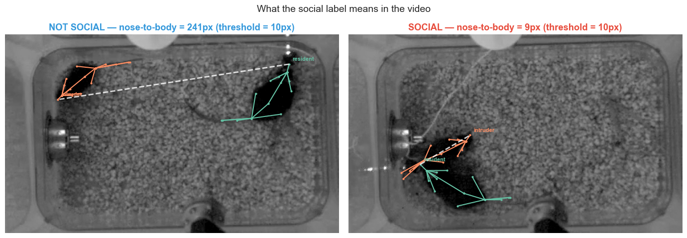 Side-by-side comparison of NOT SOCIAL vs SOCIAL frames with distance annotations